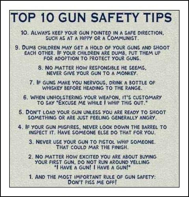 top_10_gun_safety_tips.jpg