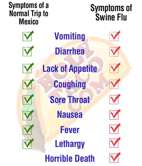 trip_to_mexico_vs_swine_flu.jpg