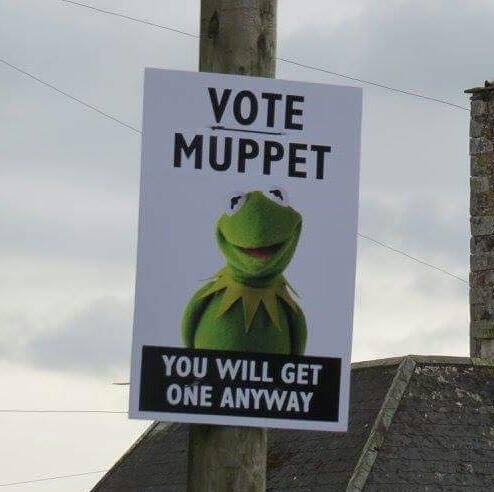 vote_muppet.jpg