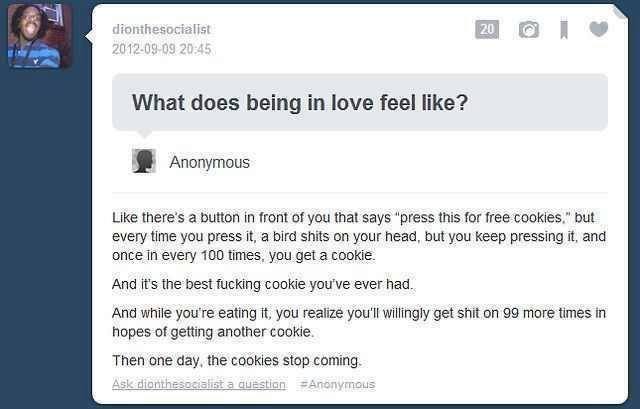 what_does_being_in_love_feel_like.jpg