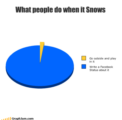 what_people_do_when_it_snows_1.png