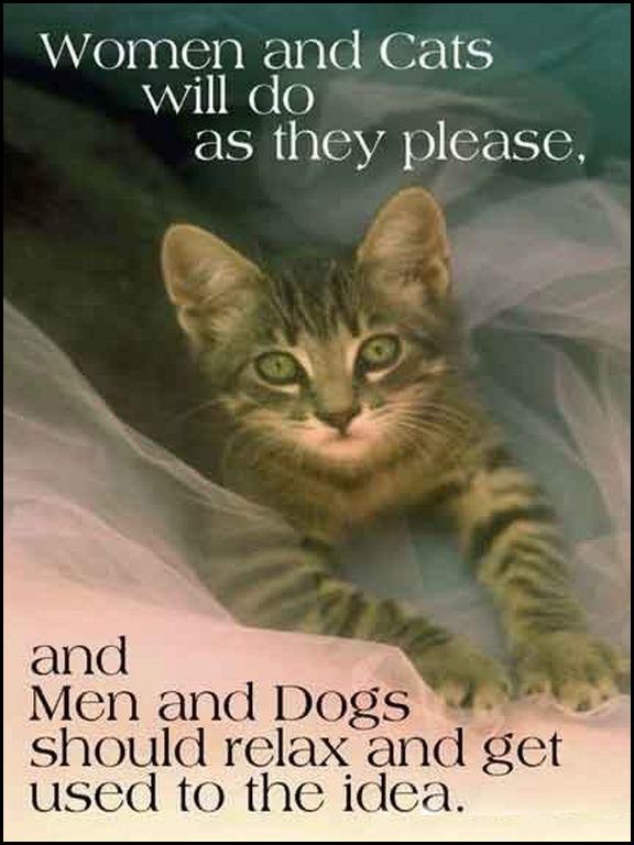 women_and_cats_vs_men_and_dogs.jpg