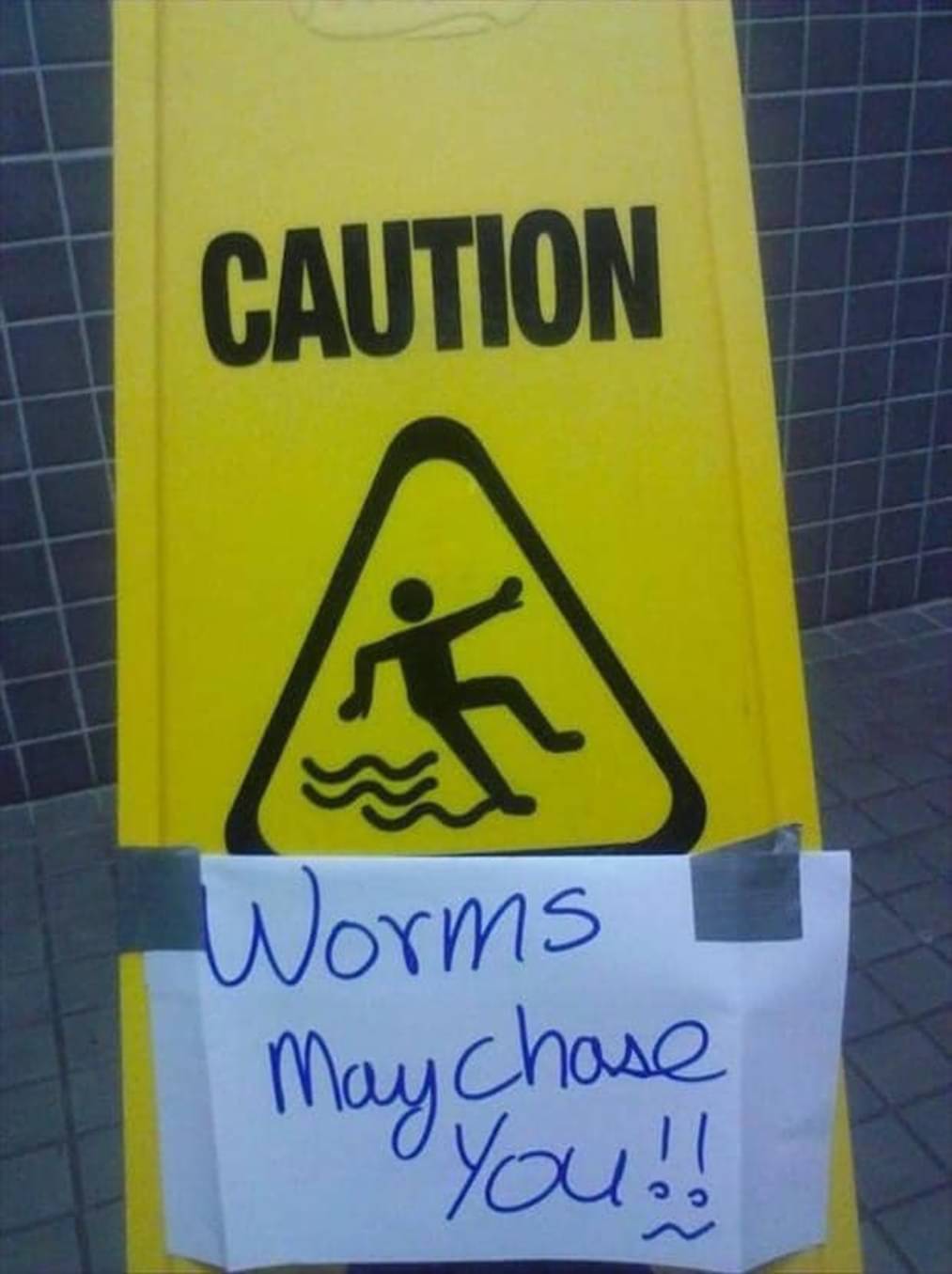 worms_may_chase_you.jpg