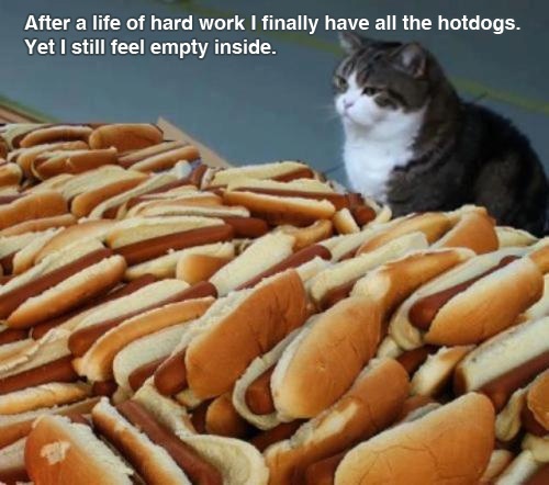 you_have_all_the_hotdogs.jpg