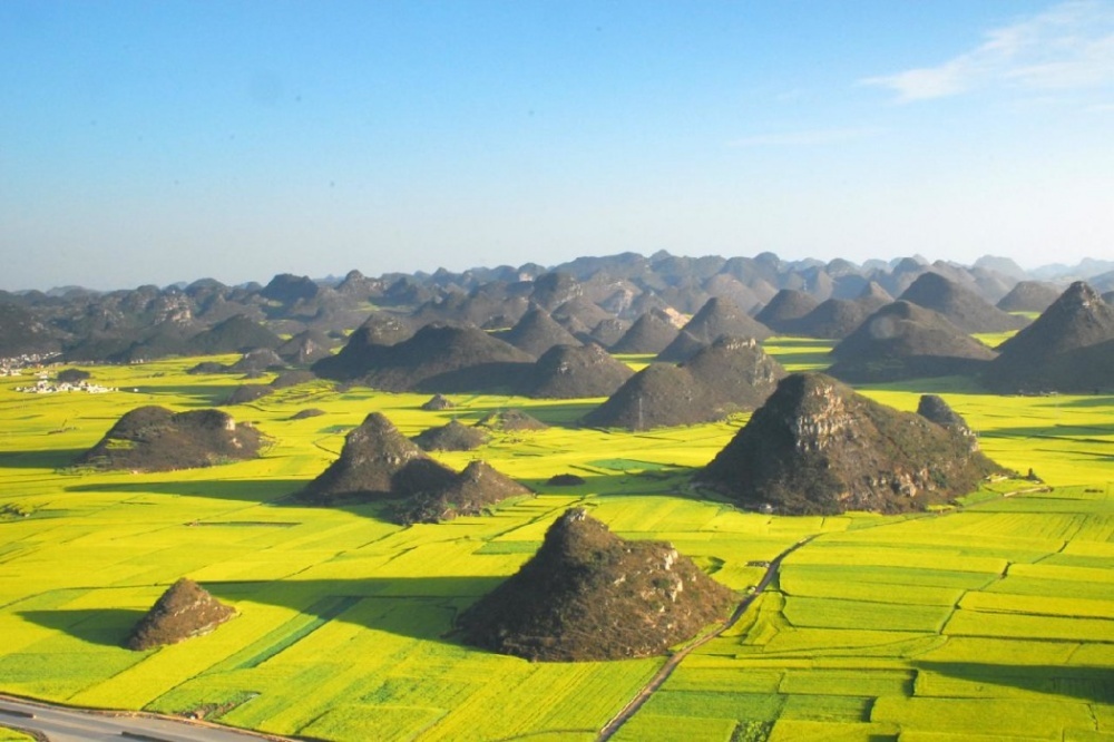 rapeseed_fields_in_luoping_china.jpg