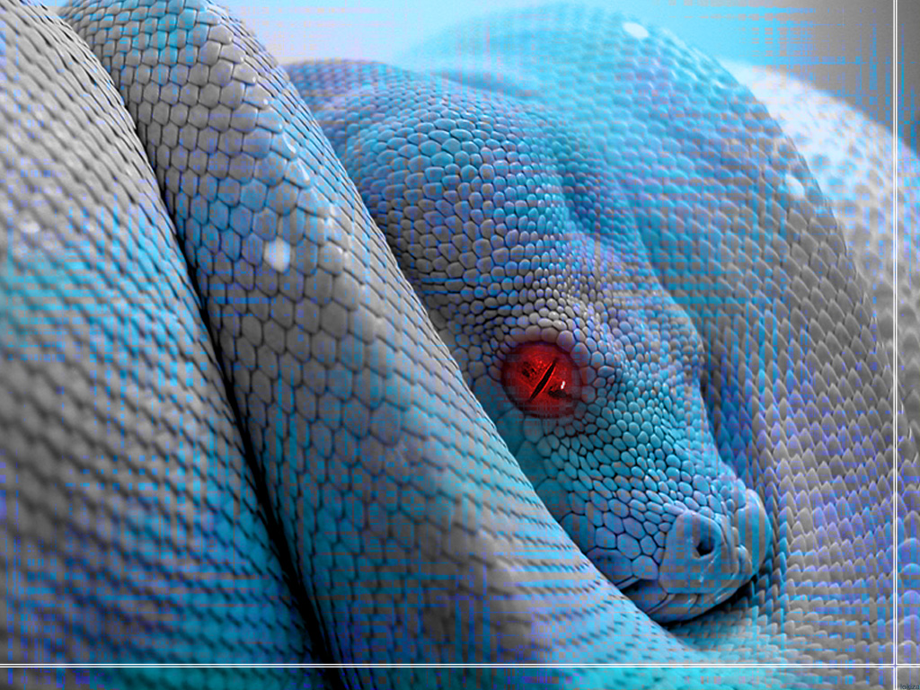 snake_eyes.jpg
