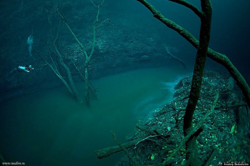underwater_river_cenote_angelita_mexico.jpg