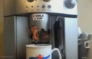 2_girls_1_cup.gif