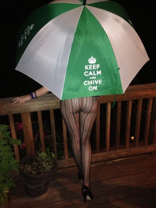 keep_calm_and_chive_on.jpg