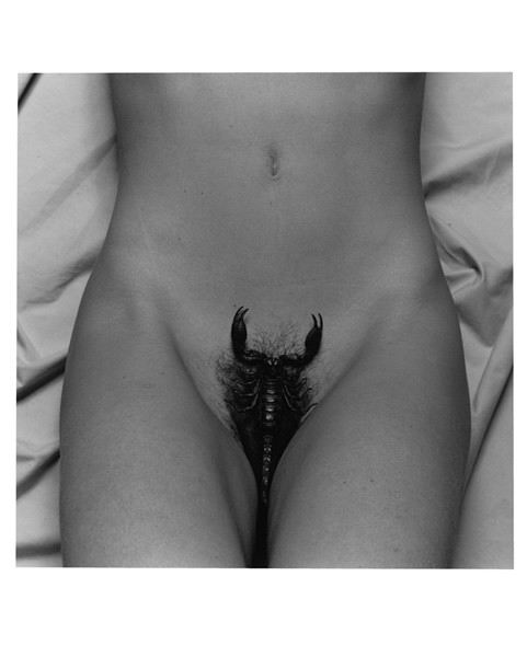 skorpionka.jpg
