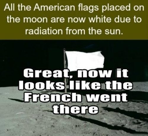 american_flags_on_the_moon.jpg
