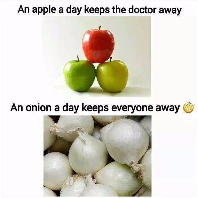 an_onion_a_day.jpg