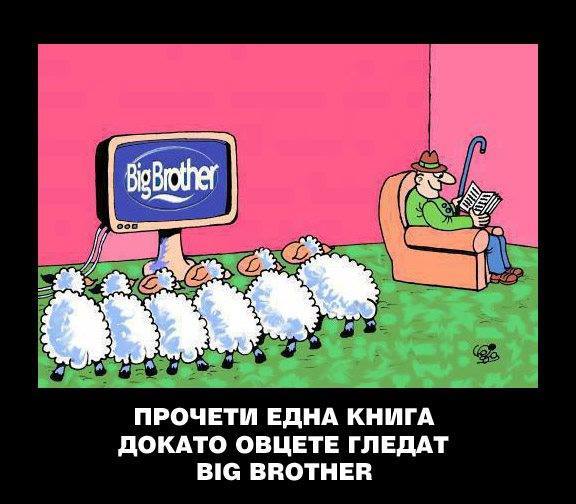 big_brother_sheeps.jpg