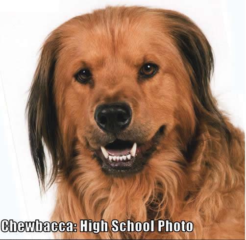 chewbacca-high_school_photo.jpg