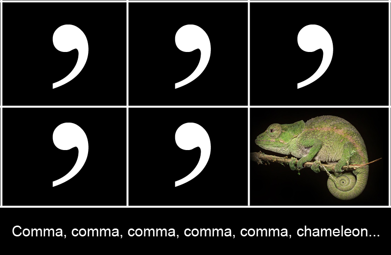 comma_comma_chameleon.jpg