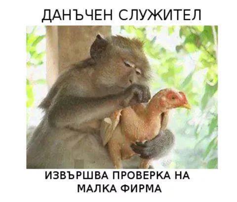 danychen_izvyrshva_proverka_na_malka_firma.jpg