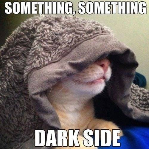 dark_side_cat.jpg