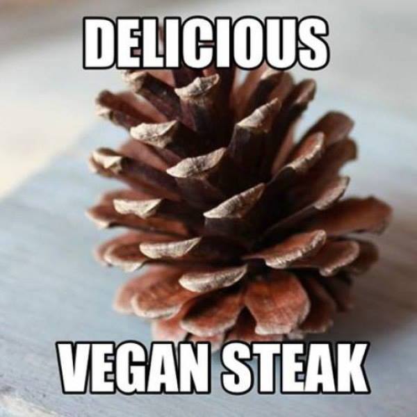 delicious_vegan_steak.jpg