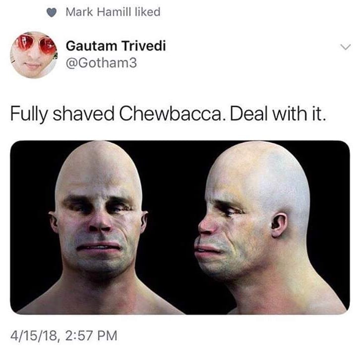 fully_shaved_chewbacca.jpg
