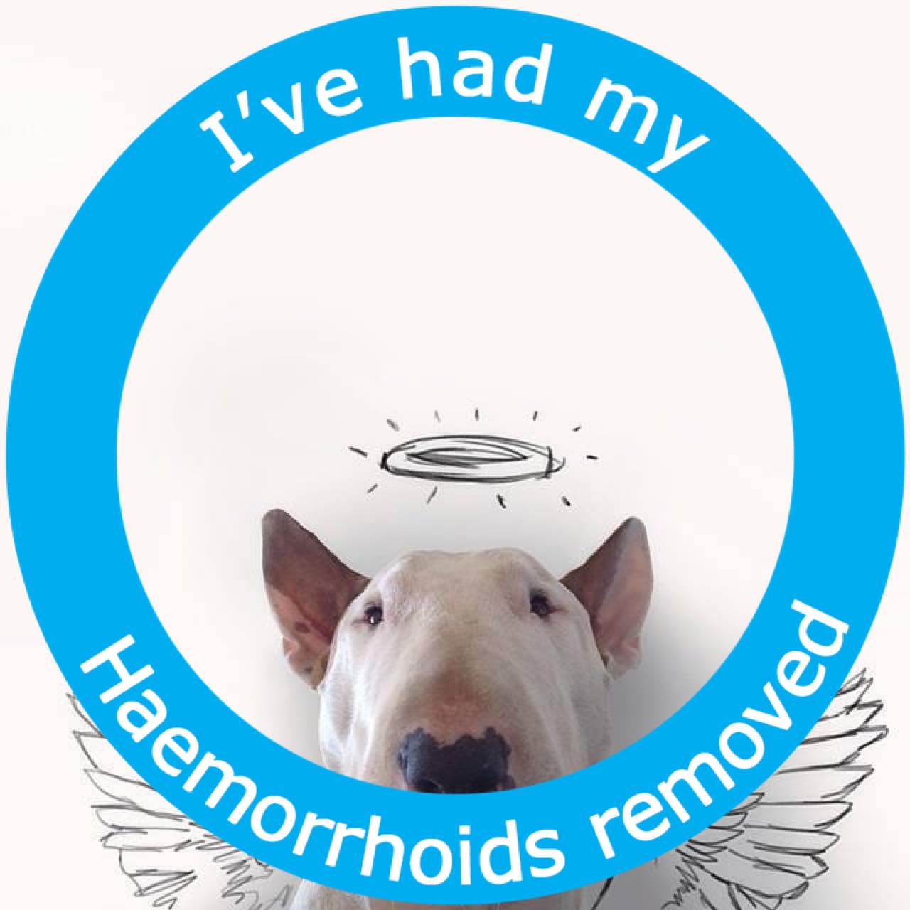 haemorrhoids_removed_pride.jpg