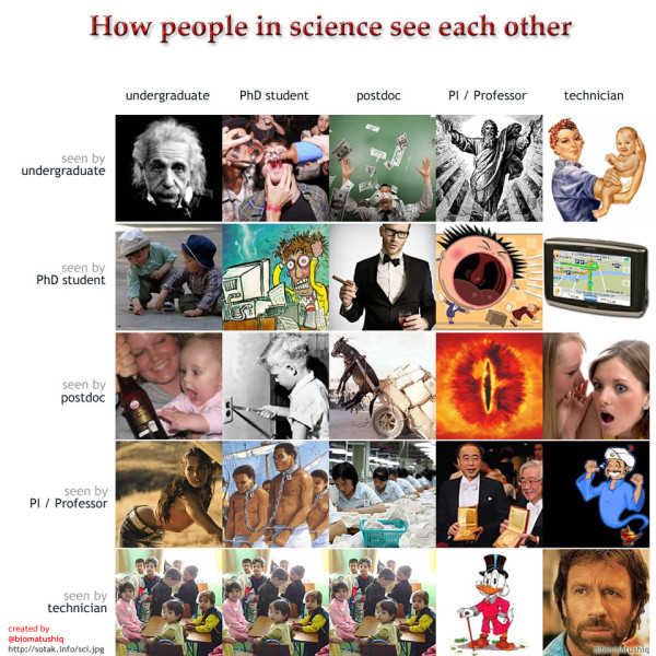 how_people_of_science_see_each_other.jpg