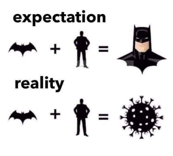 human_plus_bat_expectations.jpg