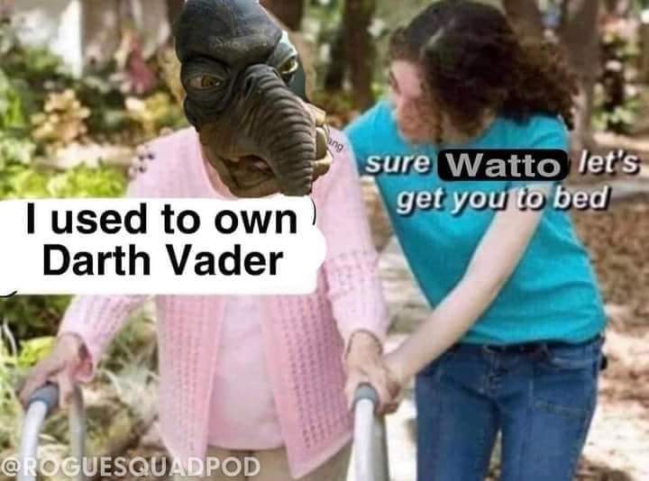 i_used_to_own_darth_vader.jpg