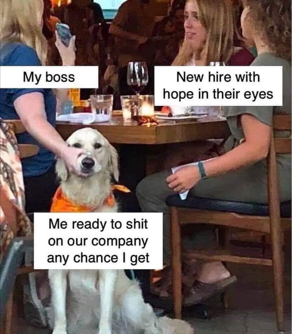 me_ready_to_shit_on_our_company.jpg