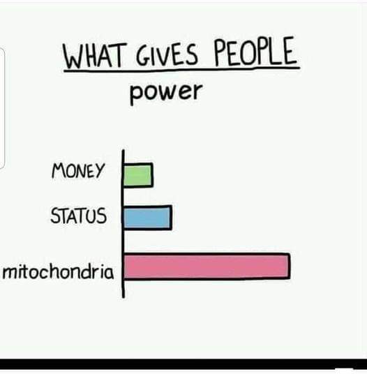 mitochondria_gives_power_indeed.jpg