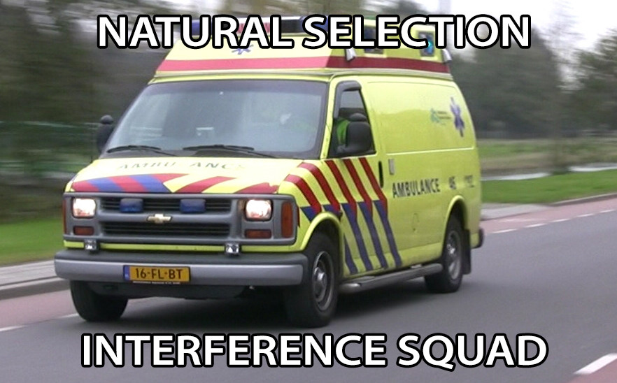 natural_selection_interference_squad.jpeg