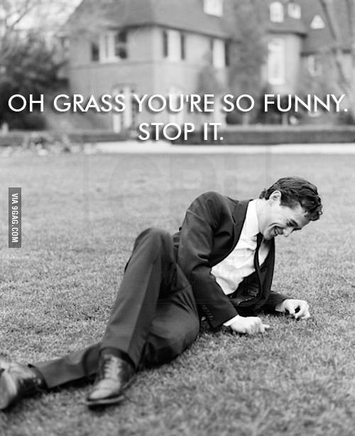 oh_you_funny_grass.jpg