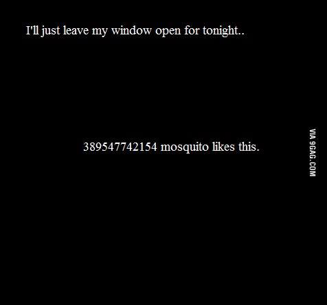 open_window.jpg