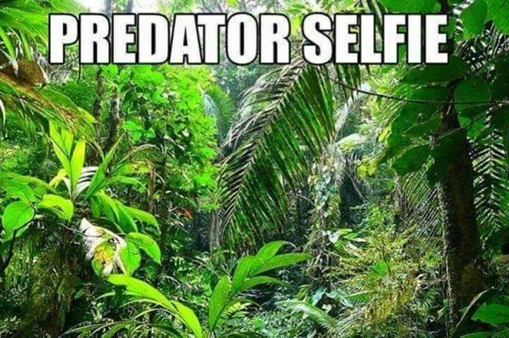 predator_selfie.jpg