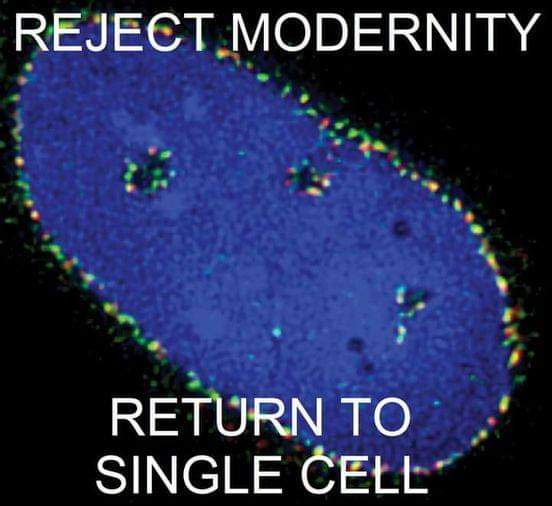 reject_modernity-get_back_to_single_cell.jpg