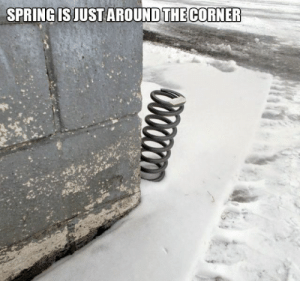 spring-is-just-around-the-corner.png