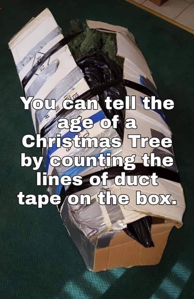 the_age_of_a_christmas_tree.jpg