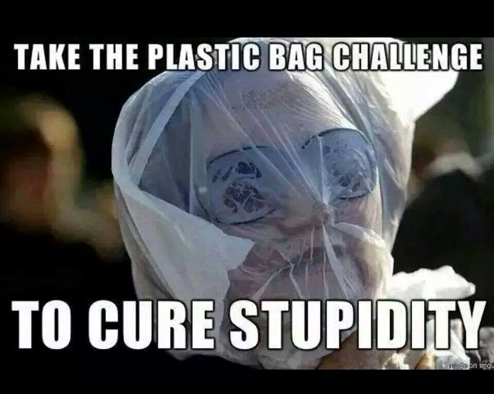 the_plastic_bag_challenge.jpg