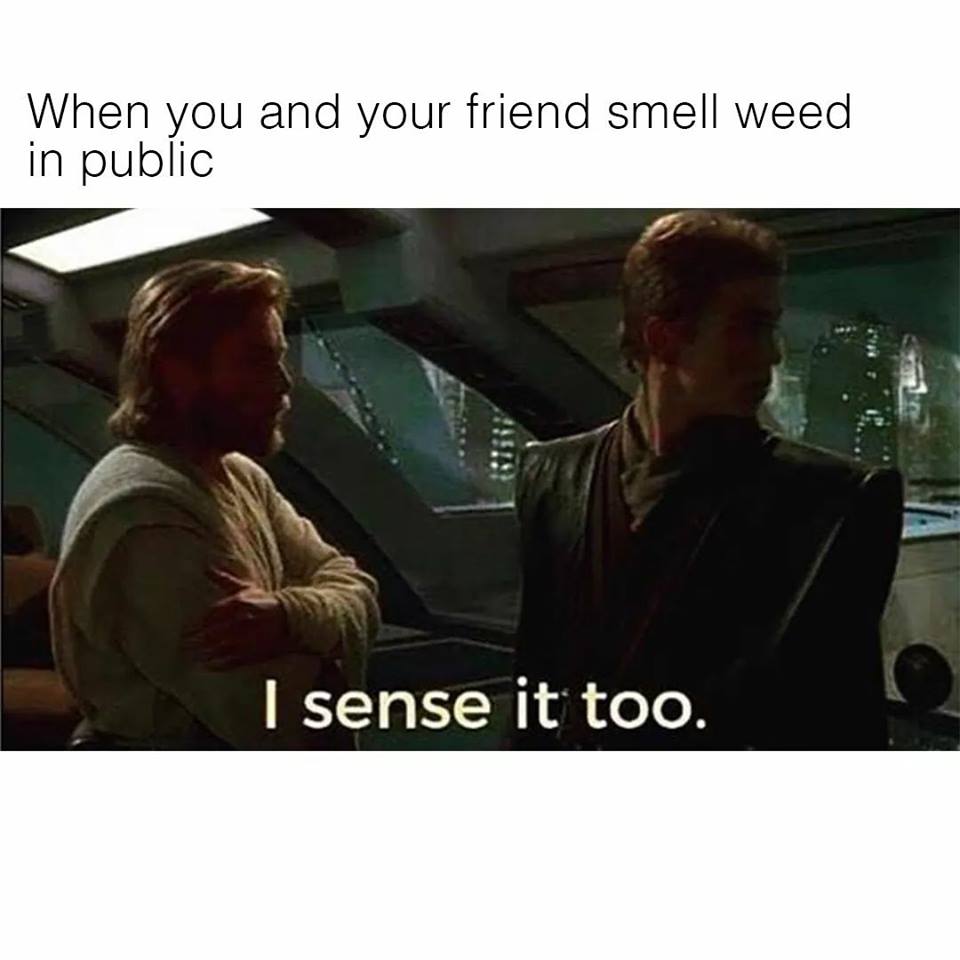 when_both_smell_weed_in_public.jpg