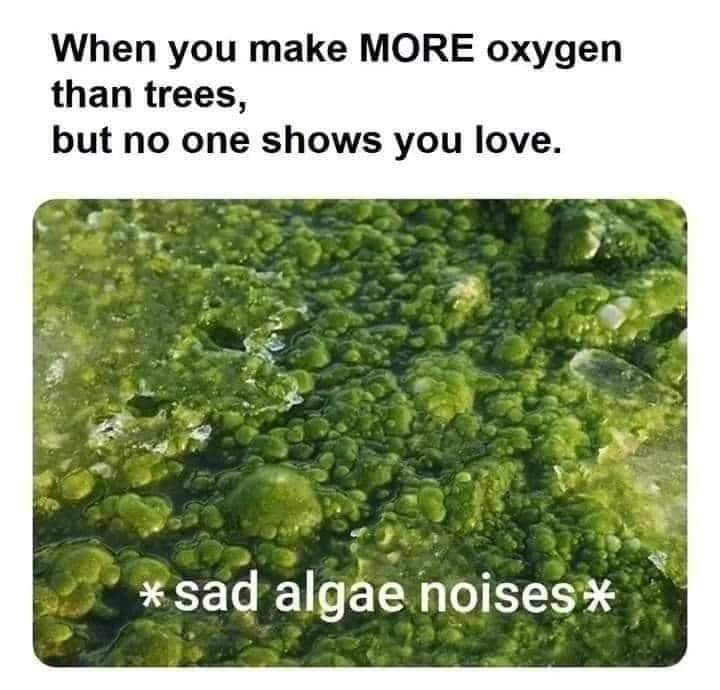 when_you_make_more_oxygen_than_trees.jpg