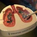 singapore-cancer-society-ashtray