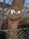 happy-tree-is-happy