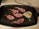 bacons-vs-egg