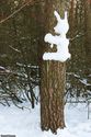 bunny-snow-art