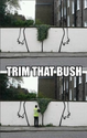 trim-that-bush