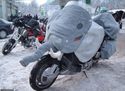 elephant-bike