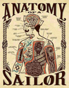 anatomy-of-a-sailor