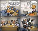 business-cats
