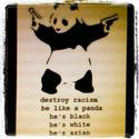 destroy-racism-panda