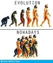 evolution-vs-nowadays