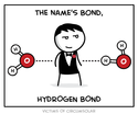 hydrogen-bond